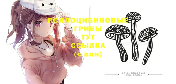 героин Елабуга