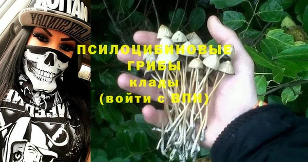 прущая мука Елизово